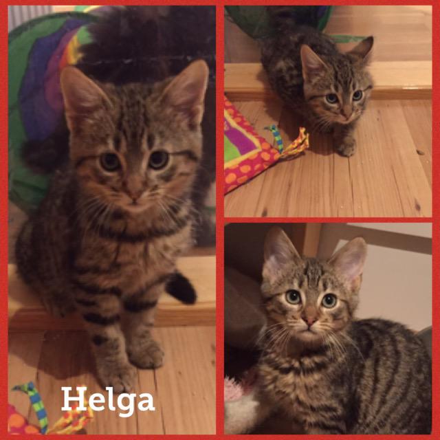 Helga0118.jpg