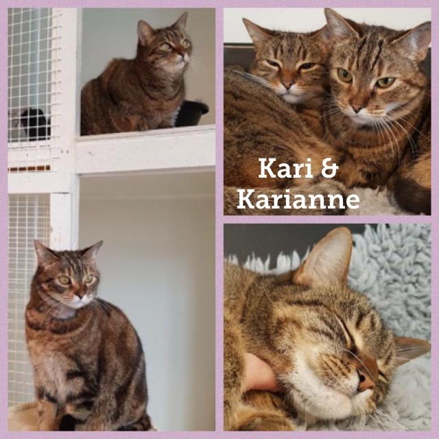 Kari&Karianne0418.jpg