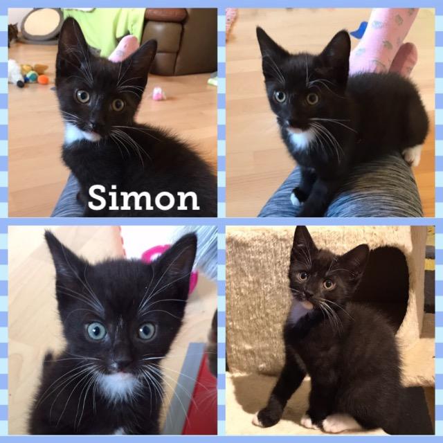 Simon0618.jpg