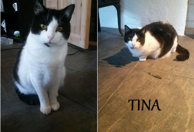 Tina1018.jpg