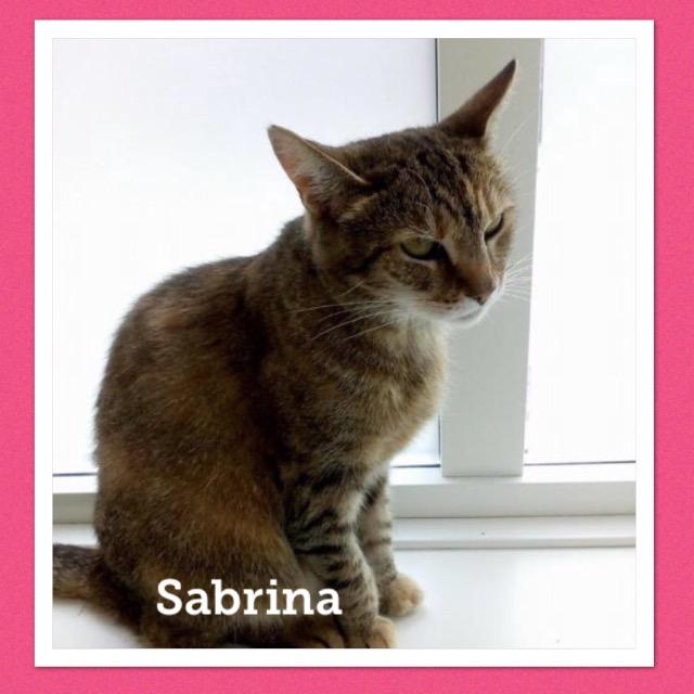 Sabrina0119.jpg