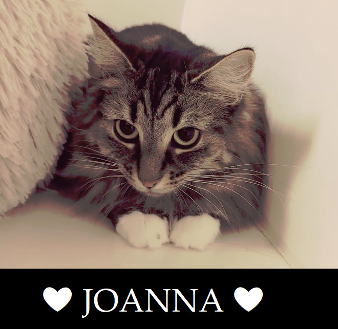 joanna0522.jpg