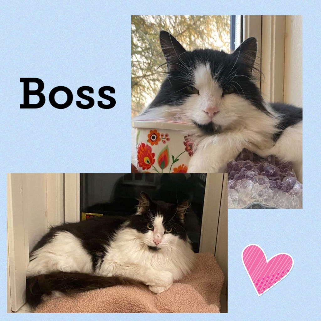 boss0924.jpg