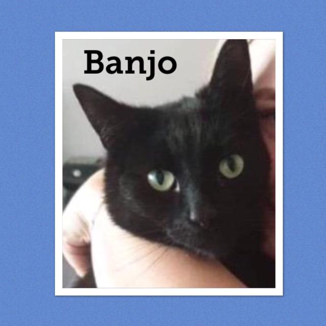 Banjo0619.jpg