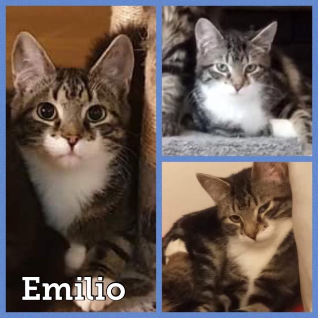 Emilio0220.jpg