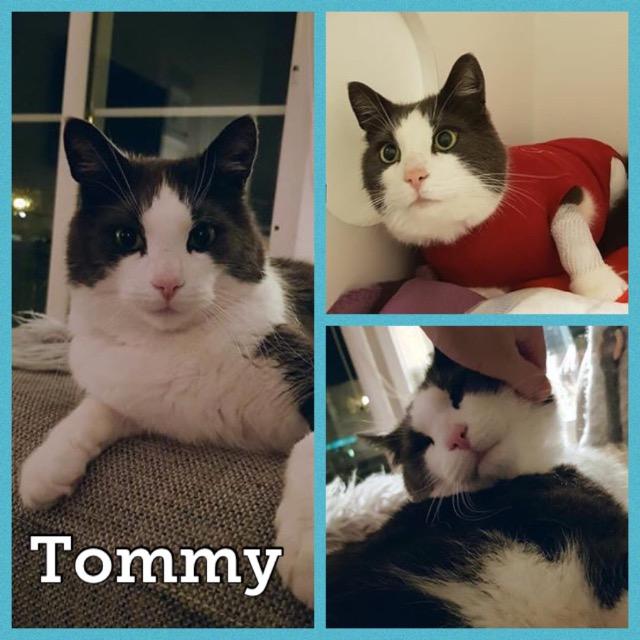 Tommy0120.jpg